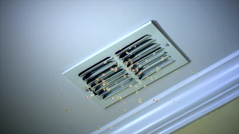 Best Ductwork Cleaning Services  in Shelton, NE