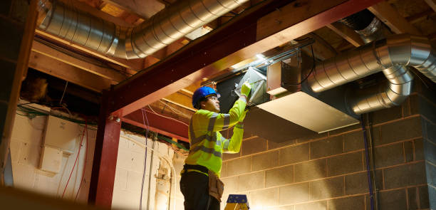 Best Professional Duct Cleaning Services  in Shelton, NE