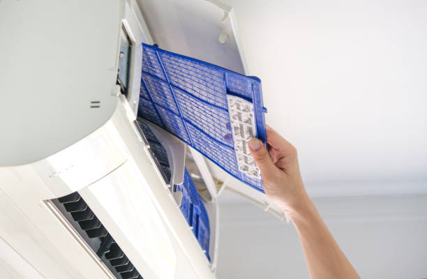 Best Air Duct Cleaning Near Me  in Shelton, NE