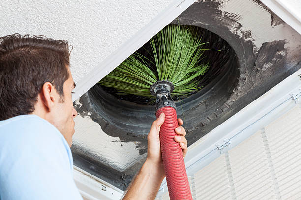 Best HVAC Duct Inspection Services  in Shelton, NE