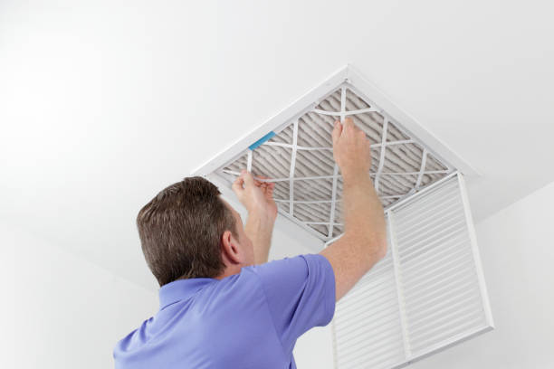 Best Duct Cleaning for Homes  in Shelton, NE